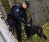 Полиция по делам иностранцев Чехии привлекает для проверок иностранцев служебных собак