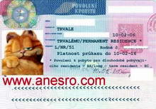 Постоянный вид на жительство (ПМЖ в Чехии), который вклеивается в заграничный паспорт иностранца