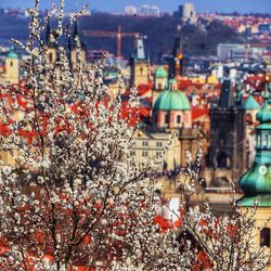 В Праге цветут сады. Агентство Европа для Вас - недвижимость в Чехии, фирмы в Чехии, вид на жительство в Чехии и Европе 