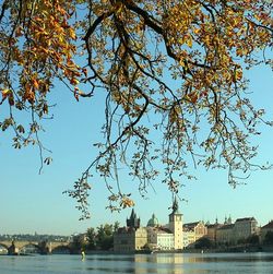 В Праге поздняя осень. Агентство Европа для Вас - недвижимость в Чехии, фирмы в Чехии, вид на жительство в Чехии и Европе 
