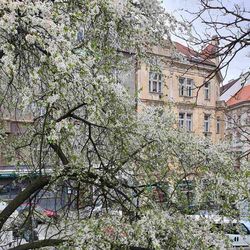 В Прагу пришла весна