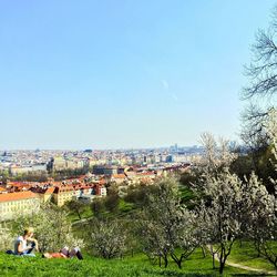 Весна - в Праге цветут сады. Агентство Европа для Вас - недвижимость в Чехии, фирмы в Чехии, вид на жительство в Чехии и Европе 