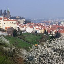 В Чехию пришла весна. Агентство Европа для Вас - недвижимость в Чехии, фирмы в Чехии, вид на жительство в Чехии и Европе 